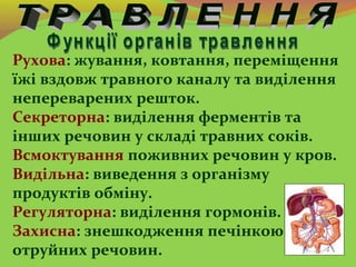 Рухова: жування, ковтання, переміщення
їжі вздовж травного каналу та виділення
непереварених решток.
Секреторна: виділення...