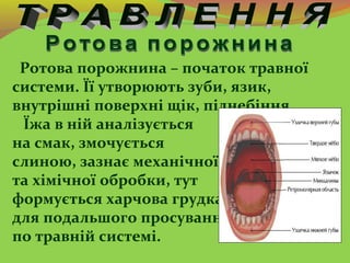 Ротова порожнина – початок травної
системи. Її утворюють зуби, язик,
внутрішні поверхні щік, піднебіння.
Їжа в ній аналізу...