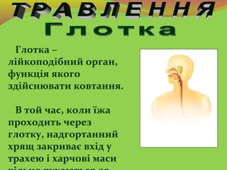 Глотка –
лійкоподібний орган,
функція якого
здійснювати ковтання.
В той час, коли їжа
проходить через
глотку, надгортанний...