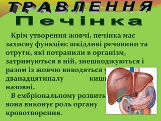 Крім утворення жовчі, печінка має
захисну функцію: шкідливі речовини та
отрути, які потрапили в організм,
затримуються в н...