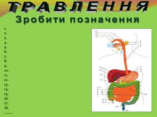 1.
2.
3.
4.
5.
6.
7.
8.
9.
10.
11.
12.
13.
14.
15.
16.
17.
18.
………
 