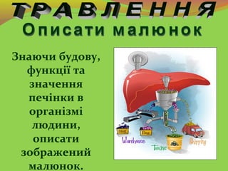 Знаючи будову,
функції та
значення
печінки в
організмі
людини,
описати
зображений
малюнок.
 