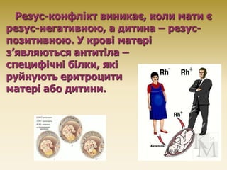 Резус-конфлікт виникає, коли мати є
резус-негативною, а дитина – резус-
позитивною. У крові матері
з’являються антитіла –
...