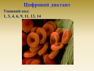 Умовний код:
1, 3, 4, 6, 9, 11, 13, 14
 