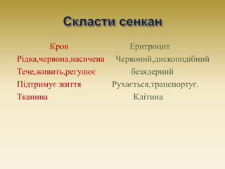 Кров Еритроцит
Рідка,червона,насичена Червоний,дископодібний
Тече,живить,регулює безядерний
Підтримує життя Рухається,тран...