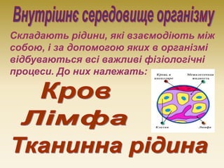 Складають рідини, які взаємодіють між
собою, і за допомогою яких в організмі
відбуваються всі важливі фізіологічні
процеси...