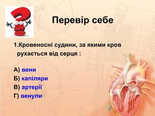 Перевір себе
1.Кровеносні судини, за якими кров
рухається від серця :
А) вени
Б) капіляри
В) артерії
Г) венули
 