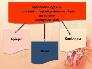 КапіляриАртерії
Вени
Кровоносні судини:
порожнисті трубки різного калібру,
по котрим
циркулює кров
Кровоносні судини:
порожнисті трубки різного калібру,
по котрим
циркулює кров
 