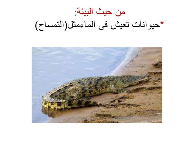 تنوع الكائنات الحية