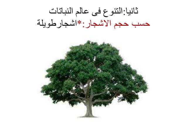 تنوع الكائنات الحية