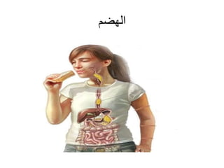 ‫الهضم‬
 