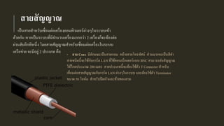 สายสัญญาณ
เป็นสายสาหรับเชื่อมต่อเครื่องคอมพิวเตอร์ต่างๆในระบบเข้า
ด้วยกัน หากเป็นระบบที่มีจานวนเครื่องมากกว่า 2 เครื่องก็จะต้องต่อ
ผ่านฮับอีกทีหนึ่ง โดยสายสัญญาณสาหรับเชื่อมต่อเครื่องในระบบ
เครือข่าย จะมีอยู่ 2 ประเภท คือ - สาย Coax มีลักษณะเป็นสายกลม คล้ายสายโทรทัศน์ ส่วนมากจะเป็นสีดา
สายชนิดนี้จะใช้กับการ์ด LAN ที่ใช้คอนเน็กเตอร์แบบ BNC สามารถส่งสัญญาณ
ได้ไกลประมาณ 200 เมตร สายประเภทนี้จะต้องใช้ตัว T Connector สาหรับ
เชื่อมต่อสายสัญญาณกับการ์ด LAN ต่างๆในระบบ และต้องใช้ตัว Terminator
ขนาด 50 โอห์ม สาหรับปิดหัวและท้ายของสาย
 