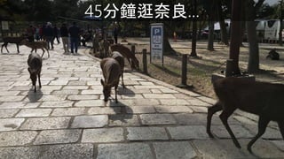 45犹
 