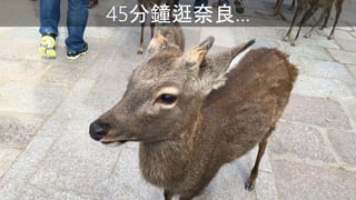 45犹
 