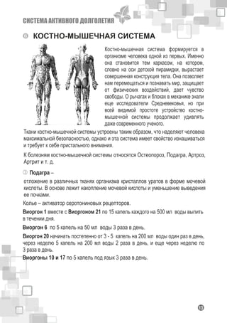 СИСТЕМА АКТИВНОГО ДОЛГОЛЕТИЯ
113
КОСТНО-МЫШЕЧНАЯ СИСТЕМА
Костно-мышечная система формируется в
организме человека одной из первых. Именно
она становится тем каркасом, на котором,
словно на оси детской пирамидки, вырастает
совершенная конструкция тела. Она позволяет
нам перемещаться и познавать мир, защищает
от физических воздействий, дает чувство
свободы. О рычагах и блоках в механике знали
еще исследователи Средневековья, но при
всей видимой простоте устройство костно-
мышечной системы продолжает удивлять
даже современного ученого.
Ткани костно-мышечной системы устроены таким образом, что наделяют человека
максимальной безопасностью, однако и эта система имеет свойство изнашиваться
и требует к себе пристального внимания.
К болезням костно-мышечной системы относятся Остеопороз, Подагра, Артроз,
Артрит и т. д.
отложение в различных тканях организма кристаллов уратов в форме мочевой
кислоты. В основе лежит накопление мочевой кислоты и уменьшение выведения
ее почками.
Подагра –
Виоргон 1 вместе с Виоргоном 21 по 15 капель каждого на 500 мл воды выпить
в течении дня.
Виоргон 6 по 5 капель на 50 мл воды 3 раза в день.
Виоргон 20 начинать постепенно от 3 - 5 капель на 200 мл воды один раз в день,
через неделю 5 капель на 200 мл воды 2 раза в день, и еще через неделю по
3 раза в день.
Виоргоны 10 и 17 по 5 капель под язык 3 раза в день.
Колье – активатор серотониновых рецепторов.
 