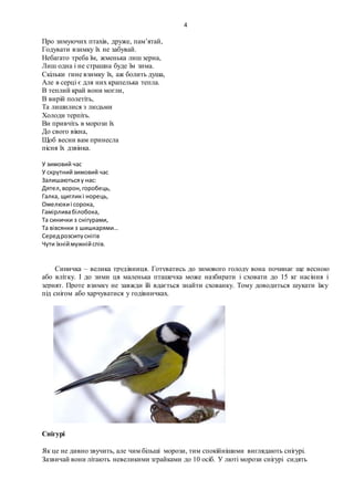 4
Про зимуючих птахів, друже, пам’ятай,
Годувати взимку їх не забувай.
Небагато треба їм, жменька лиш зерна,
Лиш одна і не страшна буде їм зима.
Скільки гине взимку їх, аж болить душа,
Але в серці є для них крапелька тепла.
В теплий край вони могли,
В вирій полетіть,
Та лишилися з людьми
Холоди терпіть.
Ви привчіть в морози їх
До свого вікна,
Щоб весни вам принесла
пісня їх дзвінка.
У зимовий час
У скрутнийзимовий час
Залишаютьсяу нас:
Дятел,ворон,горобець,
Галка, щигликі норець,
Омелюхиі сорока,
Гамірливабілобока,
Та синички з снігурами,
Та вівсянки з шишкарями…
Середрозсипуснігів
Чути їхніймужнійспів.
Синичка – велика трудівниця. Готуватись до зимового голоду вона починає ще весною
або влітку. І до зими ця маленька пташечка може назбирати і сховати до 15 кг насіння і
зернят. Проте взимку не завжди їй вдається знайти схованку. Тому доводиться шукати їжу
під снігом або харчуватися у годівничках.
Снігурі
Як це не дивно звучить, але чим більші морози, тим спокійнішими виглядають снігурі.
Зазвичай вони літають невеликими зграйками до 10 осіб. У люті морози снігурі сидять
 