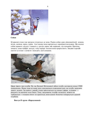 6
Сойки
Ці красиві птахи теж завчасно готуються до зими. Раціон сойки дуже різноманітний: комахи,
ягоди, насіння, зерно, горіхи. Але взимку вони харчуються переважно жолудями. Ще восени
сойки шукають жолуді і ховають у дуплах дерев, між корінням, під пеньками. Причому
ховають лише відбірні жолуді, тому нерідко весною вони проростають. Завдяки хорошій
пам’яті ці птахи з легкістю знаходять свої схованки.
Цікаві факти про голубів Під час Великої Вітчизняної війни голуби доставили понад 15000
повідомлень. Наука поки не може дати однозначного пояснення тому, як голуби знаходять
дорогу додому. За однією з версій, птахи орієнтуються по сонцю і зіркам, за іншою —
реагують на магнітне поле Землі. Тому, запускаючи голубів на весіллі, можете не
турбуватися: з птахами нічого не трапиться, вони цілком безпечно повернуться в рідний
голубник.
Виступ ІІ групи «Народознавці»
 