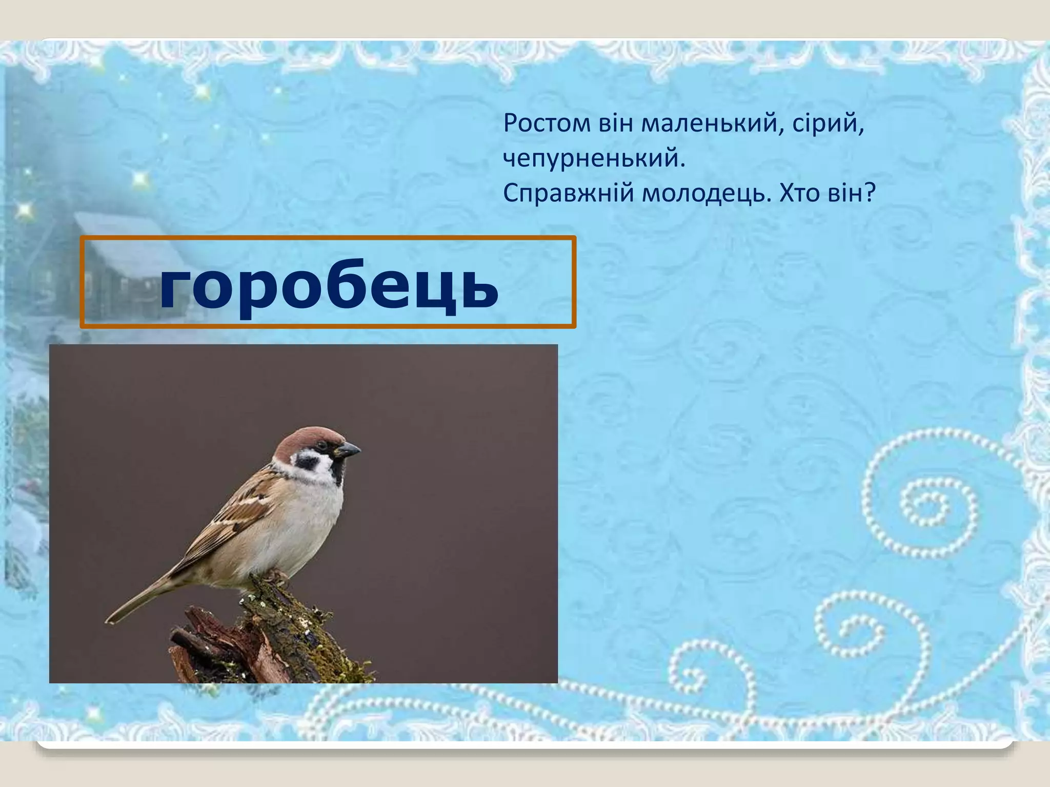 Ростом він маленький, сірий,
чепурненький.
Справжній молодець. Хто він?
горобець
 