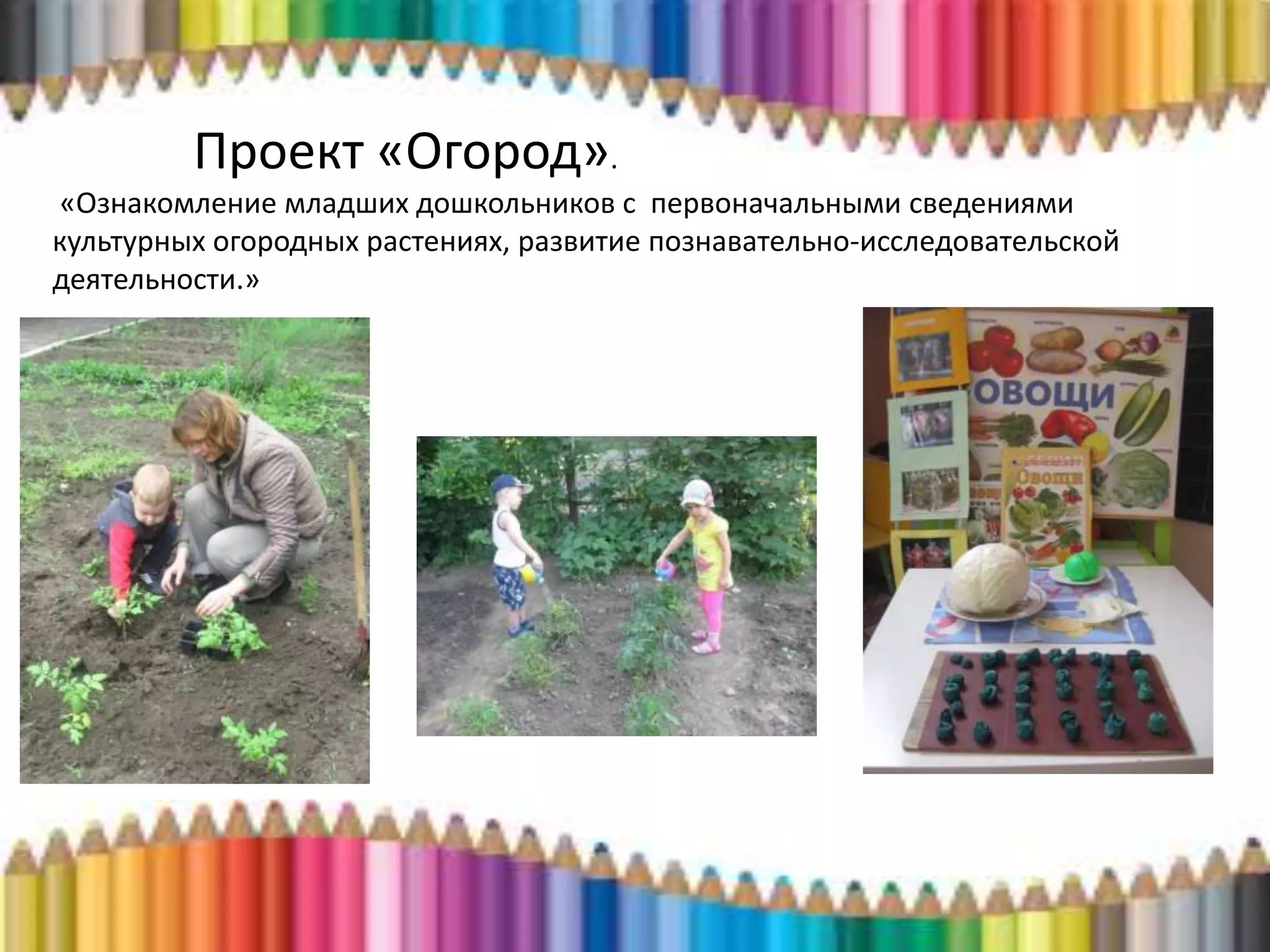 Проект «Огород».
«Ознакомление младших дошкольников с первоначальными сведениями
культурных огородных растениях, развитие познавательно-исследовательской
деятельности.»
 