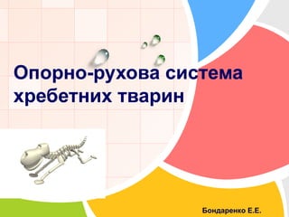 L/O/G/O
www.themegallery.com
Опорно-рухова система
хребетних тварин
Бондаренко Е.Е.
 