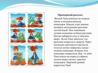 Примерный рассказ:
Весной Таня вскопала на огороде
землю и посадила рассаду
помидоров. Каждое утро девочка
поливала молоденькие растения
теплой водой. Под ласковыми
лучами солнышка зелёные растения
быстро набирали силу и тянулись
вверх. Летом Таня заметила, что
растения подросли и зацвели. Через
несколько дней вместо цветов на
толстых ветках появились плоды -
зелёные помидоры. В конце лета
помидоры покраснели. Как -то днём
Таня пошла на огород и собрала
полное ведро спелых, красных
помидоров. Хороший урожай
вырастила Таня!
 