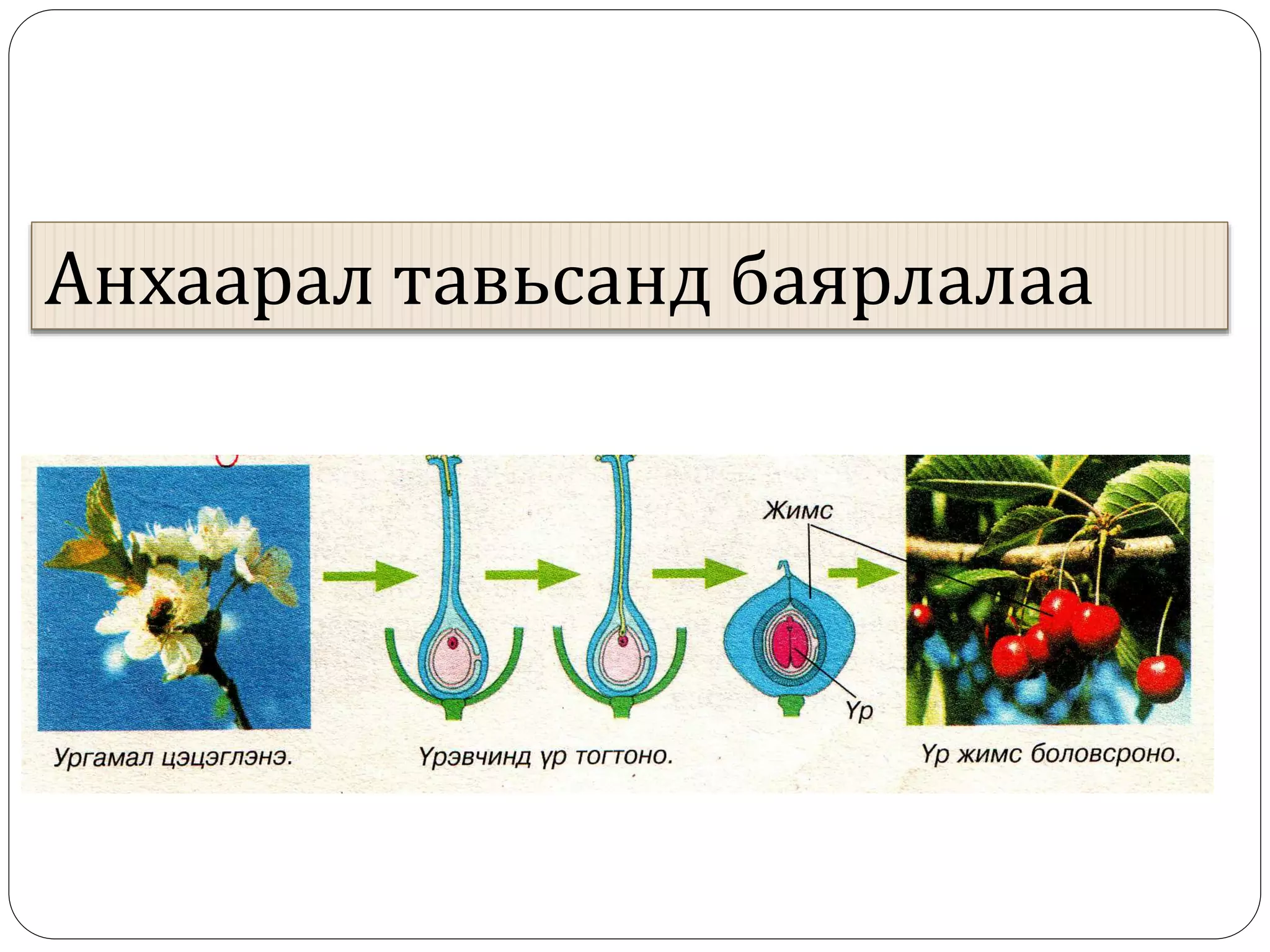 Анхаарал тавьсанд баярлалаа
 