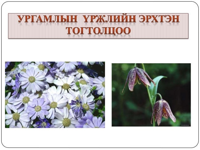 ургамлын үржил