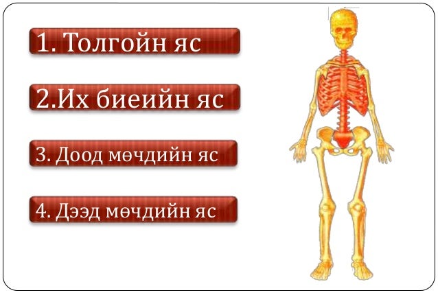 Араг яс