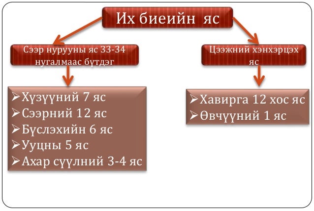 Араг яс