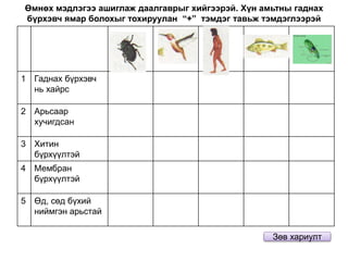 Өмнөх мэдлэгээ ашиглаж даалгаврыг хийгээрэй. Хүн амьтны гаднах
бүрхэвч ямар болохыг тохируулан “+” тэмдэг тавьж тэмдэглээрэй
1 Гаднах бүрхэвч
нь хайрс
2 Арьсаар
хучигдсан
3 Хитин
бүрхүүлтэй
4 Мембран
бүрхүүлтэй
5 Өд, сөд бүхий
ниймгэн арьстай
Зөв хариулт
 