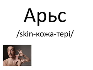 Арьс
/skin-кожа-тері/
 