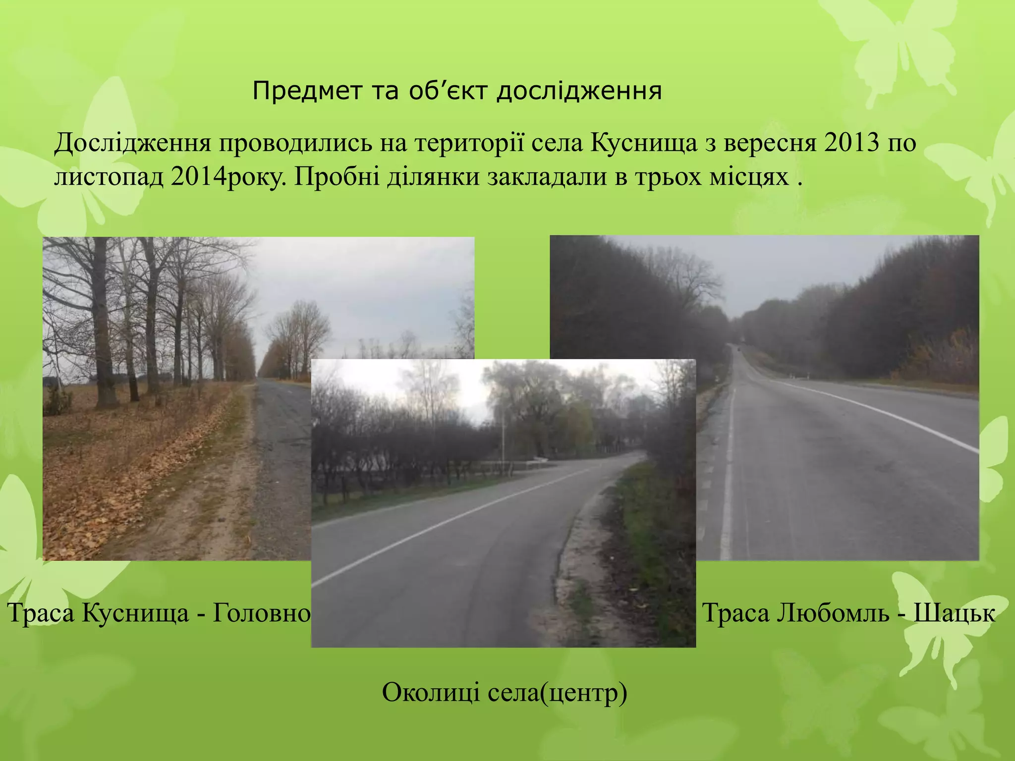 Дослідження проводились на території села Куснища з вересня 2013 по
листопад 2014року. Пробні ділянки закладали в трьох місцях .
Предмет та об’єкт дослідження
Траса Куснища - Головно Траса Любомль - Шацьк
Околиці села(центр)
 