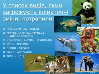 У список видів, яким
загрожують кліматичні
зміни, потрапили:
 ВЕЛИКА ПАНДА – КИТАЙ
 ЗЕЛЕНА МОРСЬКА ЧЕРЕПАХА -
ПІВДЕННА АМЕРИКА
 ОРАНГУТАНГ БОРНЕО - ІНДОНЕЗІЯ
 КИТИ - АМЕРИКА
 СЛОНИ - АФРИКА
 ЖАБИ - АВСТРАЛІЯ
 ТИГР - ІНДІЯ
 