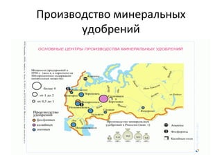 Производство минеральных
удобрений
 