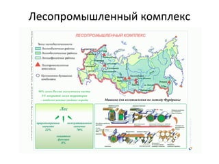 Лесопромышленный комплекс
 