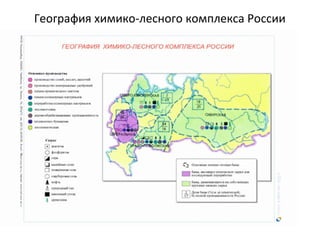 География химико-лесного комплекса России
 