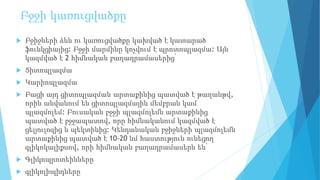 Բջջի կառուցվածքը
 Բջիջների ձևն ու կառուցվածքը կախված է կատարած
ֆունկցիայից: Բջջի մարմինը կոչվում է պրոտոպլազմա: Այն
կազմված է 2 հիմնական բաղադրամասերից՝
 Ցիտոպլազմա
 Կարիոպլազմա
 Բացի այդ ցիտոպլազման արտաքինից պատված է թաղանթվ,
որին անվանում են ցիտոպլազմային մեմբրան կամ
պլազմոլեմ: Բուսական բջջի պլազմոլեմն արտաքինից
պատված է բջջապատով, որը հիմնականում կազմված է
ցելյուլոզից և պեկտինից: Կենդանական բջիջների պլազմոլեմն
արտաքինից պատված է 10-20 նմ հաստություն ունեցող
գլիկոկալիքսով, որի հիմնական բաղադրամասերն են՝
 Գլիկոպրոտեինները
 գլիկոլիպիդները
 