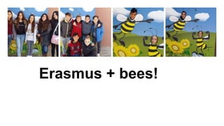 Erasmus + bees!
 