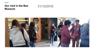 Our visit in the Bee
Museum
21/12/2016
 