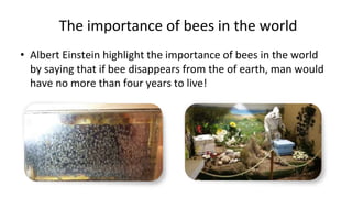 The importance of bees in the world
• Albert Einstein highlight the importance of bees in the world
by saying that if bee disappears from the of earth, man would
have no more than four years to live!
 