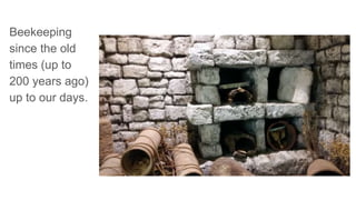 Beekeeping
since the old
times (up to
200 years ago)
up to our days.
 