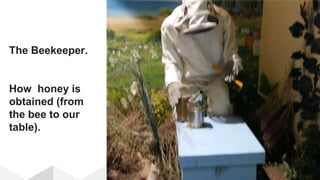 The Beekeeper.
How honey is
obtained (from
the bee to our
table).
 