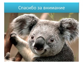 Спасибо за внимание
 