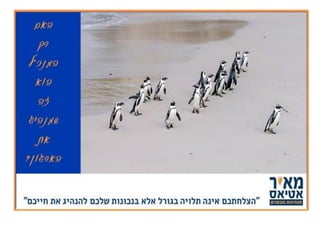 כיצד להפוך ממנהל למנהיג מבפנים