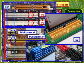 Системная (материнская) платаСистемная (материнская) плата
Разъём дляРазъём для
установкиустановки
процессорапроцессора
Слоты дляСлоты для
установкиустановки
оперативнойоперативной
памятипамяти
Слоты дляСлоты для
установкиустановки
контроллеровконтроллеров
внешнихвнешних
устройствустройств
Слот дляСлот для
установкиустановки
видеокартывидеокарты
«Северный«Северный
мост» –мост» –
контроллерконтроллер
оперативнойоперативной
памяти ипамяти и
видеопамятивидеопамяти
«Южный«Южный
мост» –мост» –
контроллерконтроллер
внешнихвнешних
устройствустройств
CPUCPU
RAMRAM
СеверныйСеверный
мостмост
ЮжныйЮжный
мостмост
PCI-ExpressPCI-Express
PCIPCI
SATASATA
СистемнаяСистемная
шинашина
ШинаШина
памятипамяти
ВидеоплатаВидеоплата
Монитор,Монитор,
проекторпроектор
PCI-PCI-
ExpressExpress
Сетевая картаСетевая карта
Звуковая платаЗвуковая плата
Контроллер IEEE 1394Контроллер IEEE 1394
МодемМодем
Колонки иКолонки и
наушникинаушники
ЦифроваяЦифровая
видеокамеравидеокамера ЖёсткийЖёсткий
магнитный диск,магнитный диск,
DVD-дисководDVD-дисковод
IDEIDE
ЖёсткийЖёсткий
магнитный диск,магнитный диск,
DVD-дисководDVD-дисковод
AudioAudio
LANLAN
USBUSB
COM,COM,
LPTLPT
PS/2PS/2Клавиатура, мышьКлавиатура, мышь
Принтер (LPT),Принтер (LPT),
мышь, модем,мышь, модем,
клавиатура (COM)клавиатура (COM)
Принтер, мышь,Принтер, мышь,
модем, сканер,модем, сканер,
клавиатура, WEB-клавиатура, WEB-
камера и др.камера и др.
МодемМодем
Колонки, наушники,Колонки, наушники,
микрофонмикрофон
USBUSB ПередняяПередняя
панель корпусапанель корпуса
TV-тюнерTV-тюнерTV-кабельTV-кабель
AGPAGP ЧипсетЧипсет
PCIPCI
PCIPCI
PCI-Express x16PCI-Express x16
PCIPCI
PCIPCI
PCI-Express x1PCI-Express x1
AGPAGP
1919
 