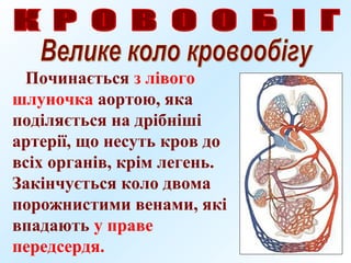 Починається з лівого
шлуночка аортою, яка
поділяється на дрібніші
артерії, що несуть кров до
всіх органів, крім легень.
Закінчується коло двома
порожнистими венами, які
впадають у праве
передсердя.
 