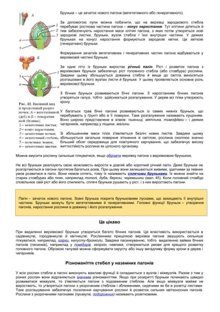 пагін | PDF