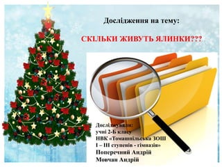 Дослідження на тему:
СКІЛЬКИ ЖИВУТЬ ЯЛИНКИ???
Досліджували:
учні 2-Б класу
НВК «Томашпільська ЗОШ
І – ІІІ ступенів - гімназія»
Поперечний Андрій
Мовчан Андрій
 