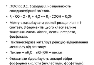 • Підклас 3.1. Естерази. Розщеплюють
складноефірний зв'язок.
• R1 - CO - O - R2 + H2O ↔ R1 - COОН + R2ОН
• Можуть каталізувати реакції розщеплення і
синтезу. З ферментів цього класу велике
значення мають ліпази, пектинестерази,
фосфатази.
• Пектинестераза каталізує реакцію відщеплення
метанолу від пектину:
• Пектин + nH2O = nСН3ОН + пектат
• Фосфатази гідролізують складні ефіри
фосфорної кислоти (нуклеотиди, фосфатиди).
 