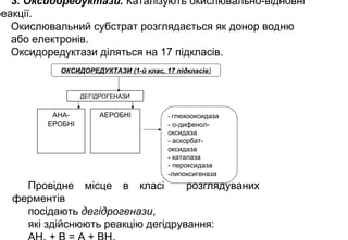 3. Оксидоредуктази. Каталізують окислювально-відновні
реакції.
Окислювальний субстрат розглядається як донор водню
або електронів.
Оксидоредуктази діляться на 17 підкласів.
Провідне місце в класі розглядуваних
ферментів
посідають дегідрогенази,
які здійснюють реакцію дегідрування:
ОКСИДОРЕДУКТАЗИ (1-й клас, 17 підкласів)
ДЕГІДРОГЕНАЗИ
АНА-
ЕРОБНІ
АЕРОБНІ - глюкооксидаза
- о-дифенол-
оксидаза
- аскорбат-
оксидаза
- каталаза
- пероксидаза
-липоксигеназа
 